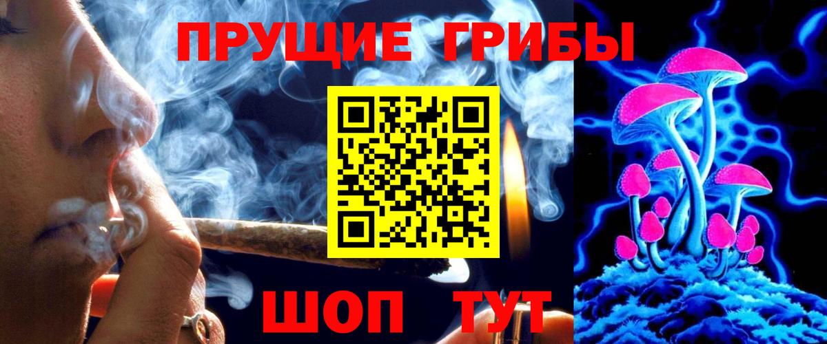 Псилоцибиновые грибы мухоморы  Вход с VPN  где можно купить наркотик  Медногорск  Галлюциногенные грибы Psilocybe 